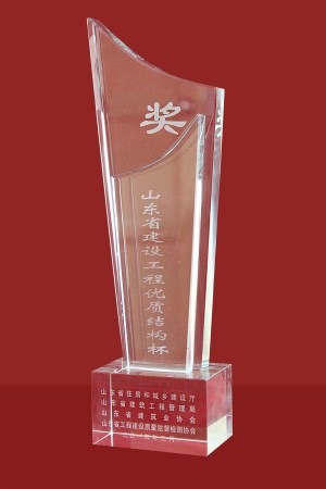 山東省建筑工程結(jié)構(gòu)杯獎(jiǎng)杯